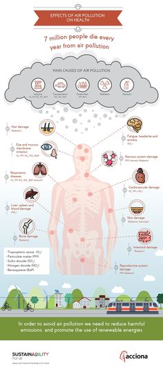 an info poster showing the different types of people's body and how they use it