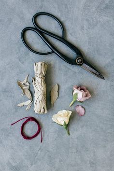 DIY Rose + Sage Smudge Sticks - Camille Styles Sage Smudge Sticks, Diy Wellness, Diy Rose, Camille Styles, Diy Roses, Easy Diy Gifts, Diy Soap