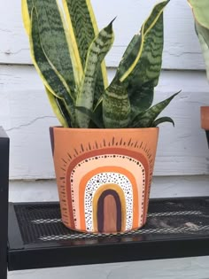 a potted plant sitting on top of a shelf