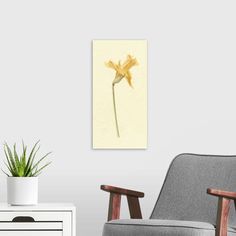 a yellow flower sitting on top of a wooden chair next to a white dresser and potted plant