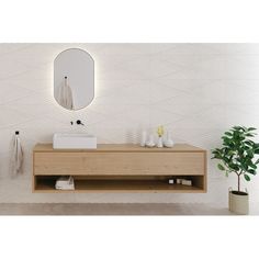 a bathroom with a sink, mirror and potted plant