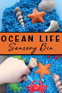 the ocean life cake is made with blue frosting and sea creatures on it's sides