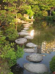 stepping stones in the middle of a river surrounded by greenery and trees on either side