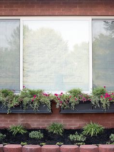 the window sill has flowers in it and is lined with black mulchs