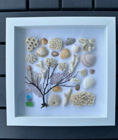 a shadow box frame with sea shells and a tree