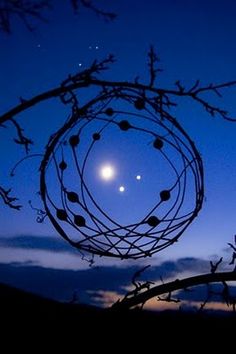 the moon is seen in the sky behind a tree branch with branches hanging from it