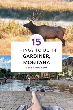 15 Fun Things to do in Gardiner, MT Kalispell Montana Things To Do, Best Places To Stay In Montana, Montana Family Vacation, Things To Do In Big Sky Montana, Yellowstone Hot Springs, Gallatin Gateway Montana, Gardiner Montana, Top Yellowstone Attractions, Montana National Parks