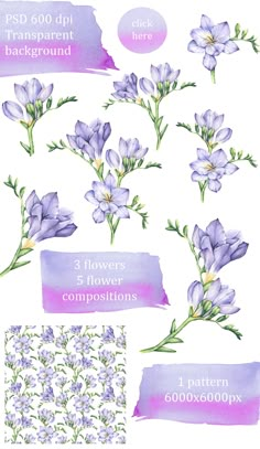 watercolor flowers are shown with different colors and sizes, including purples, lavenders,