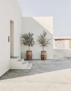 two vases with trees in them sitting on the side of a building next to stairs