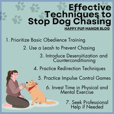 dog chasing Better Habits, Impulse Control, Mental Exercises, Professional Help, Obedience Training, Good Habits, Puppy Training