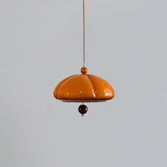 an orange bird feeder hanging from a yellow cord with a gray sky in the background