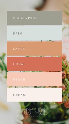 This mood board features a serene peach and eucalyptus color palette, combining soft, warm tones of peach and coral with cool, refreshing hues of light sage, soft green, and creamy neutrals. The overall design exudes natural elegance, perfect for small business branding or weddings. The balance of earthy greens and warm peach shades creates a harmonious, calming aesthetic, ideal for modern, sophisticated themes with a touch of organic beauty and romance. Cool Tone Fall Wedding Colors, Spring Colour Palette Wedding, Eucalyptus Palette, Peach Wedding Palette, Green Peach Wedding, Peach Colour Palette, Colour Palette Green, Feminine Colour Palette, Peach Color Palette