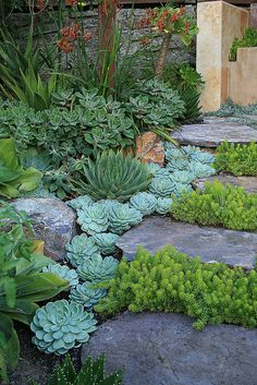 an outdoor garden with rocks and plants