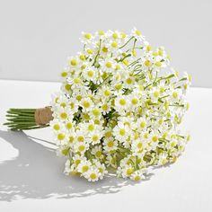 a bouquet of daisies on a white surface