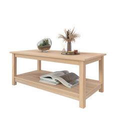 a wooden table with magazines and a potted plant on top