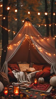 a canopy bed with lights strung over it and pillows on the ground next to it