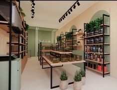 an empty store filled with lots of shelves and plants