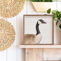 a framed photo of a goose sitting on top of a wooden shelf next to a potted plant