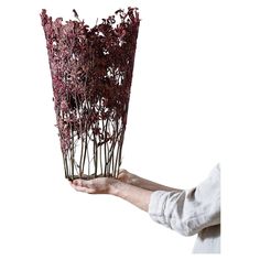 a person holding up a bunch of dried flowers