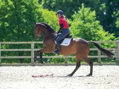 a woman riding on the back of a brown horse in an obstacle course with trees in the background