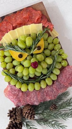 a platter with grapes, meat and cheese as a face made out of fruit