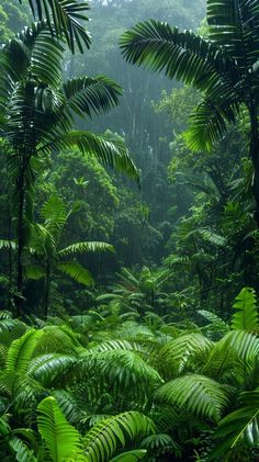 the jungle is full of green plants and trees