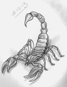 a drawing of a scorpion on a white background