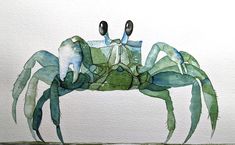 a watercolor painting of a green crab with two black crabs on it's back legs