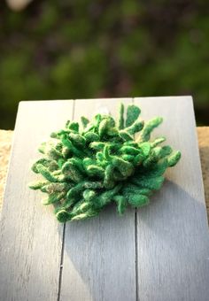 a small green plant sitting on top of a wooden table