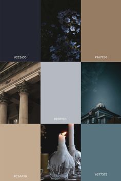 the color palettes for this project are different shades of blue, brown and white