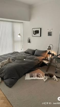 a cat laying on the floor next to a bed in a room with white walls