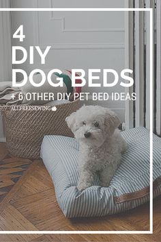 a white dog sitting on top of a bed in the middle of a living room