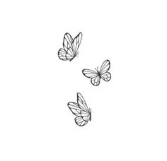 three butterflies flying in the air