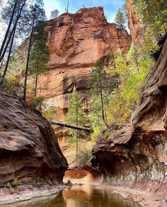 a river running through a canyon surrounded by trees