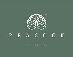 the logo for peacock is shown in white and green colors on a dark green background