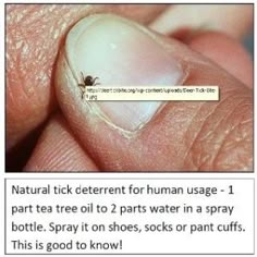 Tick Removal, Bug Off, Good Things To Know, Simple Life Hacks