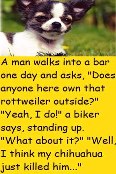 a small dog sitting in the grass with a sign above it that says, a man walks into a bar one day and asks does anyone here own that not