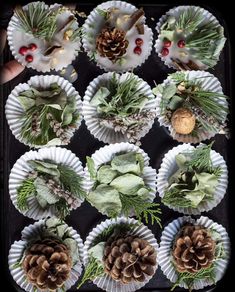 paper plates with pine cones, evergreen leaves and other things in them on a tray