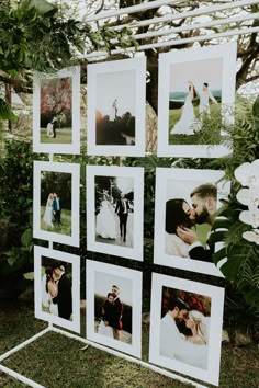 wedding photos are hung on the wall in front of trees and flowers at this outdoor ceremony