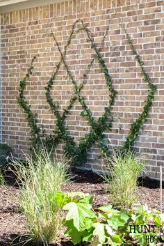 some plants are growing on the side of a brick wall in front of a building