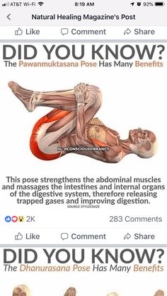 an image of the muscles and their functions on a cell phone with text that reads did you know?