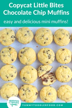 chocolate chip muffins with text that reads copycat little bites chocolate chip muffins easy and delicious mini muffins