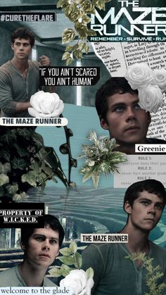 the maze runner movie poster with some pictures and words on it's back side