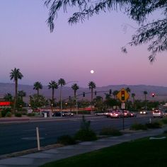 cars are driving down the street in front of palm trees and mountains at night time