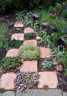 the garden is full of flowers and plants, including succulents on the ground