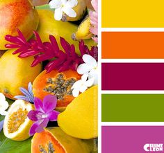 the color scheme is bright and vibrant, with different fruit on it's sides