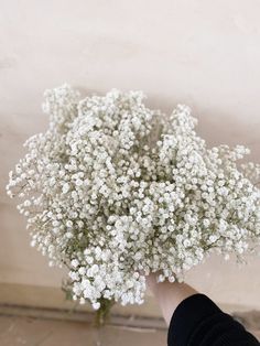 a person holding a bunch of white flowers