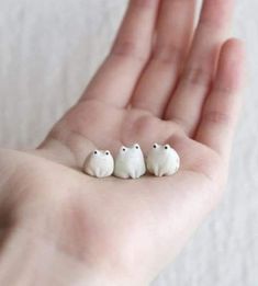 three tiny white birds sitting on top of someone's hand