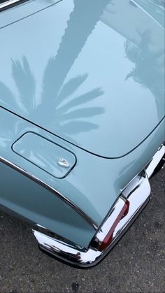 the back end of an old car with a palm tree on it