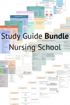 the study guide bundle for nursing school